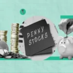 Vikas Lifecare penny-stock